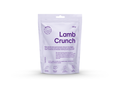 Buddy Crunchy Snack Lamb & Cranberries