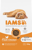 Iams Cat Kitten Chicken