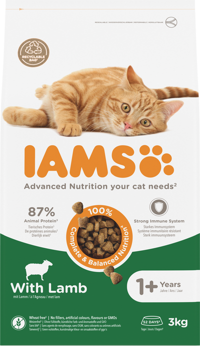 Iams Cat Adult Lamb