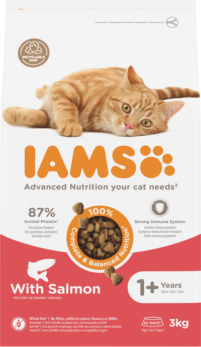 Iams Cat Adult Salmon