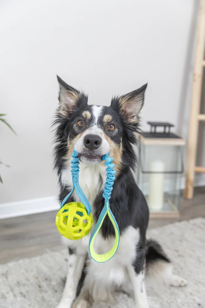 TRIXIE Bungee Tugger med boll, petrol/lime