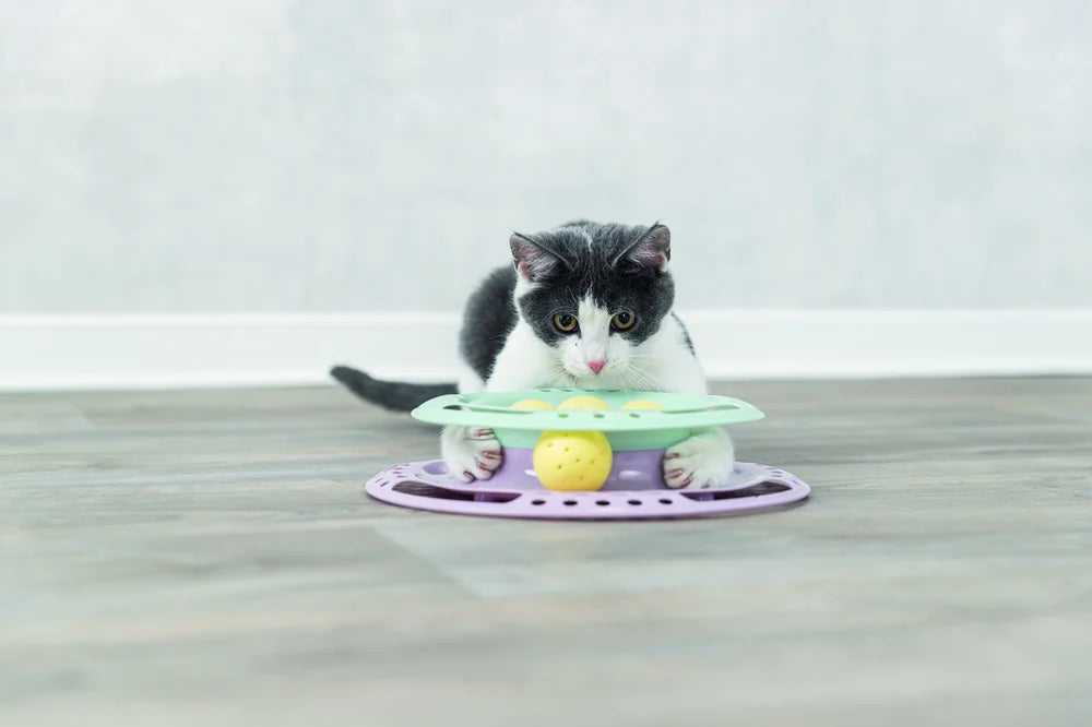 Junior Kitten Circle