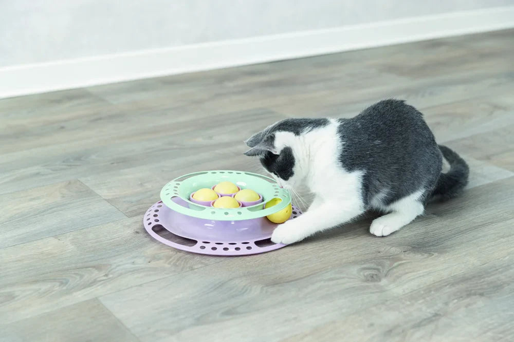 Junior Kitten Circle