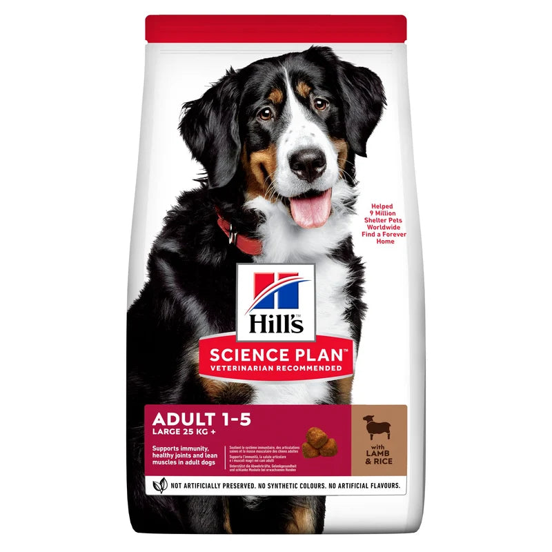 HILL'S SCIENCE PLAN Adult Large Breed torrfoder med lamm och ris för hund