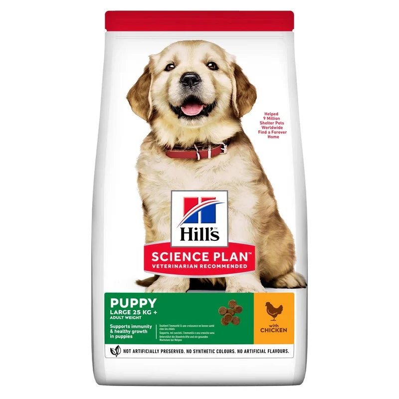 HILL'S SCIENCE PLAN Puppy Large Breed torrfoder med kyckling för hund