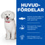 Hill's Science Plan Hypoallergenic Adult Small & Mini hundfoder med lax