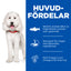 Hill's Science Plan Hypoallergenic Adult Medium torrfoder för hundar med lax