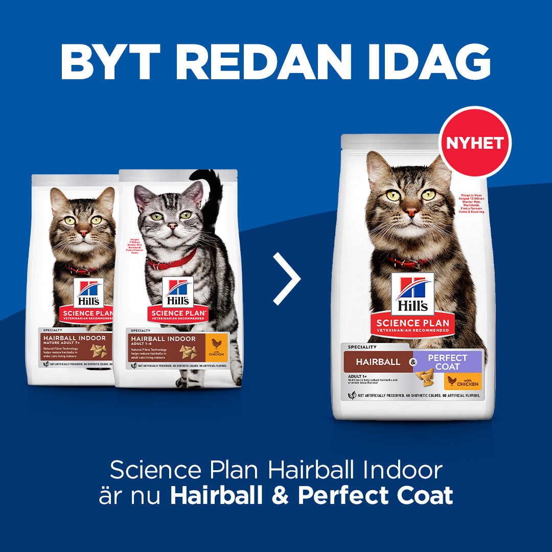 Hill's Science Plan Hairball & Perfect Coat kattfoder med kyckling för vuxna katter