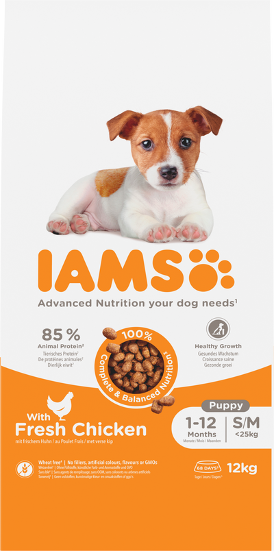 Iams Dog Puppy Small & Medium Chicken