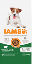 Iams Dog Small & Medium Lamb