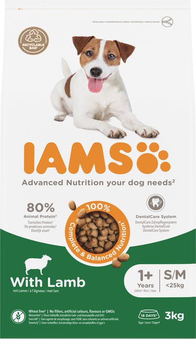 Iams Dog Small & Medium Lamb