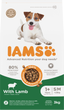 Iams Dog Small & Medium Lamb