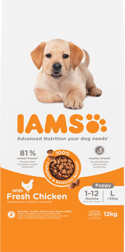 Iams Dog Puppy Large Chicken