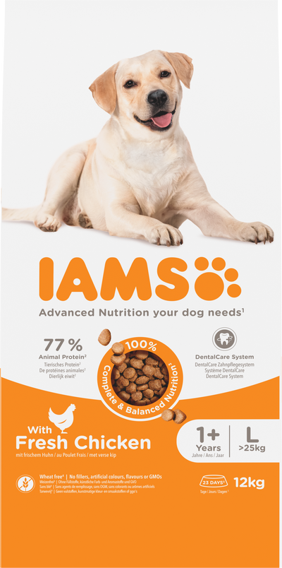 Iams Dog Adult Large Chicken