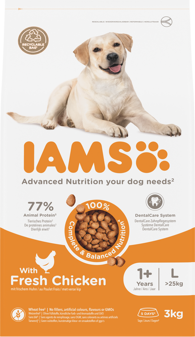 Iams Dog Adult Large Chicken