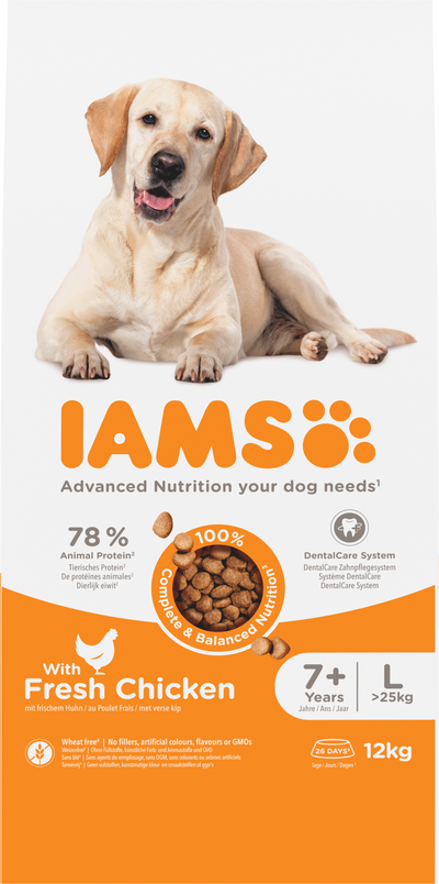 Iams Dog Senior Large Chicken