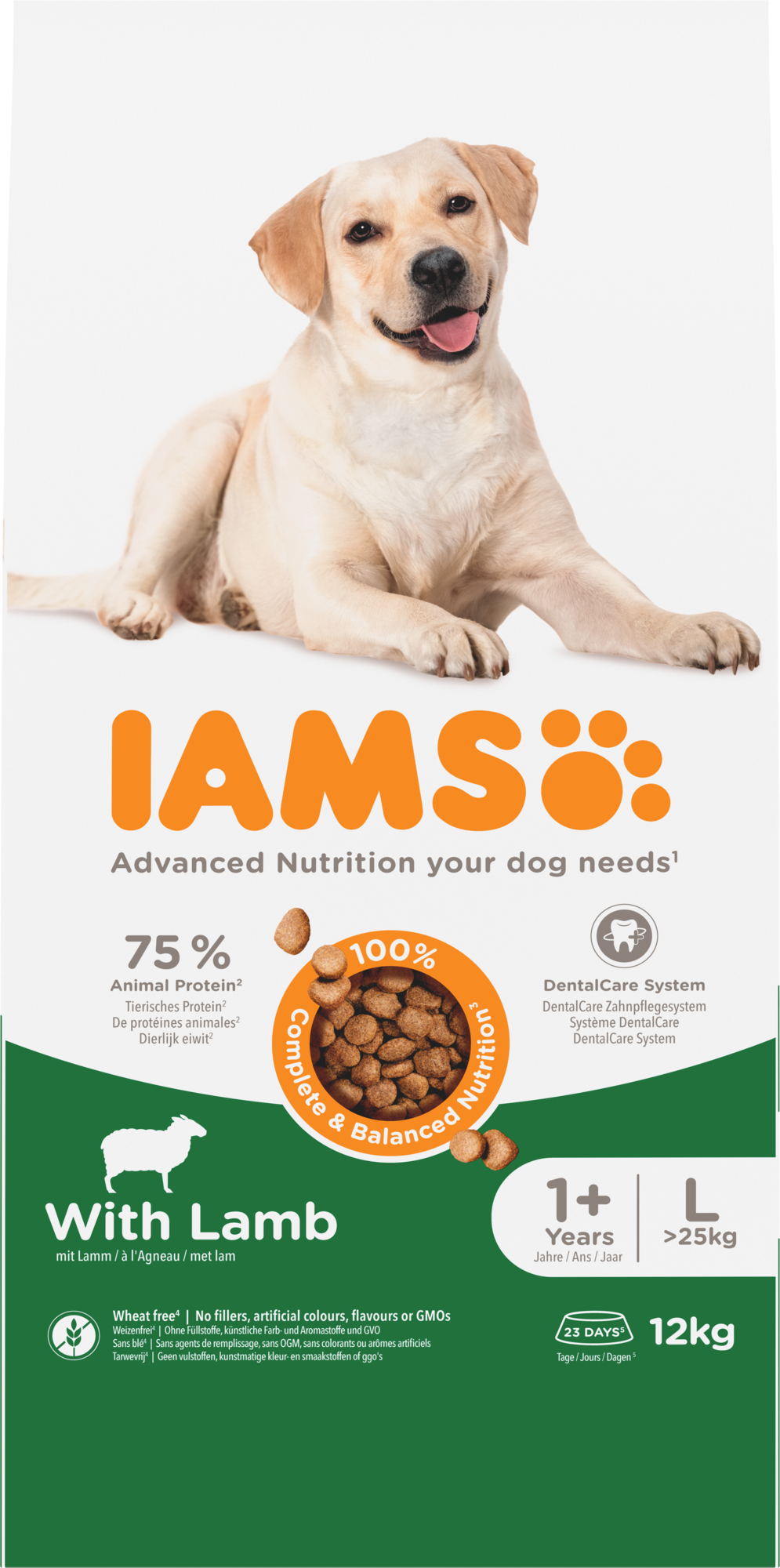 Iams Dog Adult Large Lamb