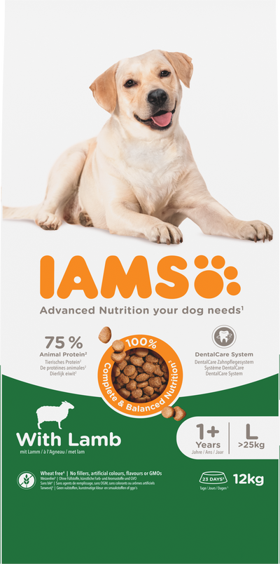 Iams Dog Adult Large Lamb