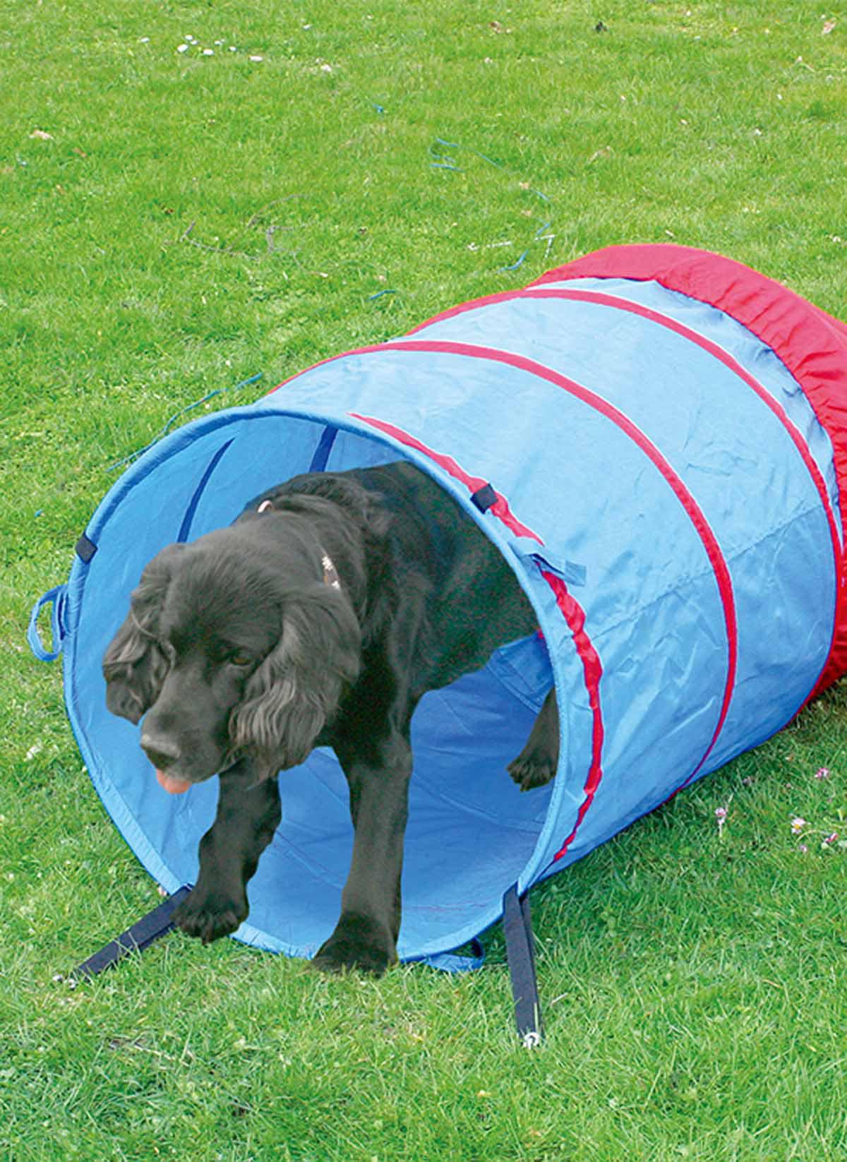 PAWISE AGILITY TUNNEL 5 M Ø60CM