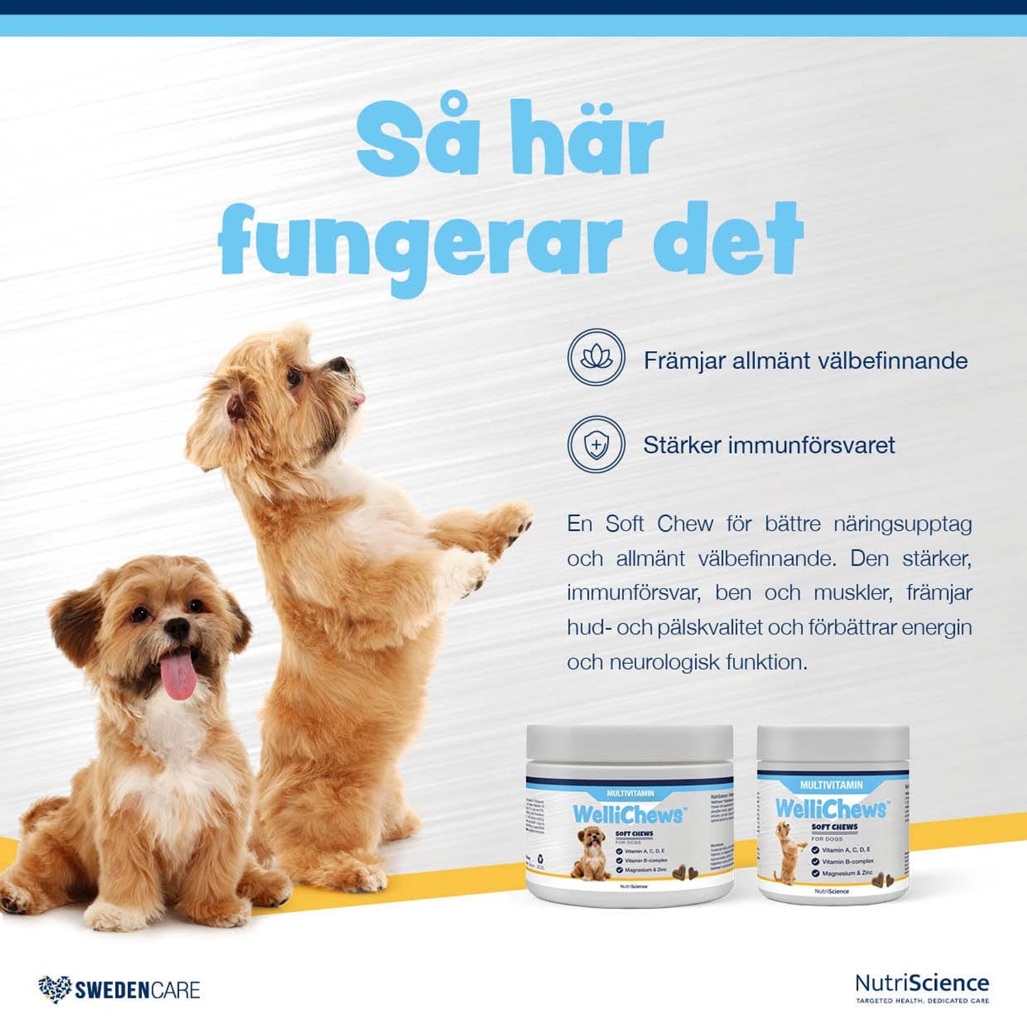 Wellichews Multivitamin Dog