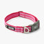 Dog Copenhagen Urban Style™ Collar