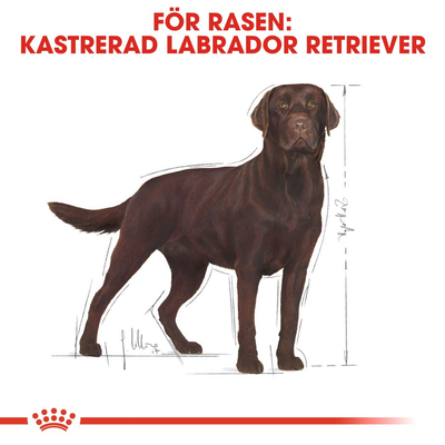 Royal Canin Labrador Retriever Sterilised Adult