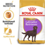 Royal Canin Labrador Retriever Sterilised Adult