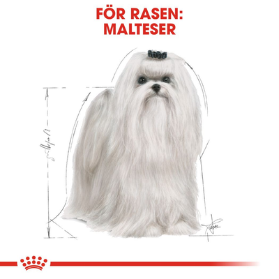 Royal Canin Maltese Adult