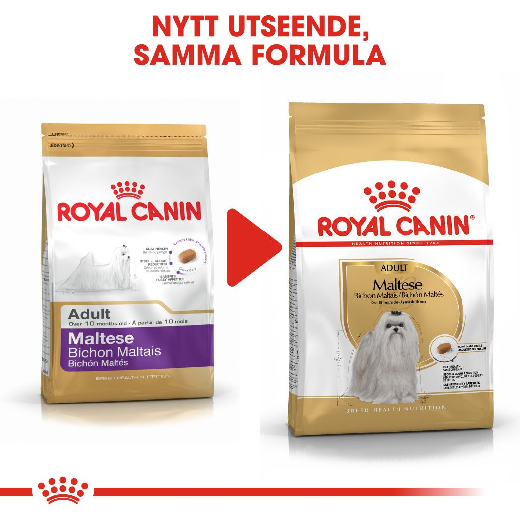 Royal Canin Maltese Adult