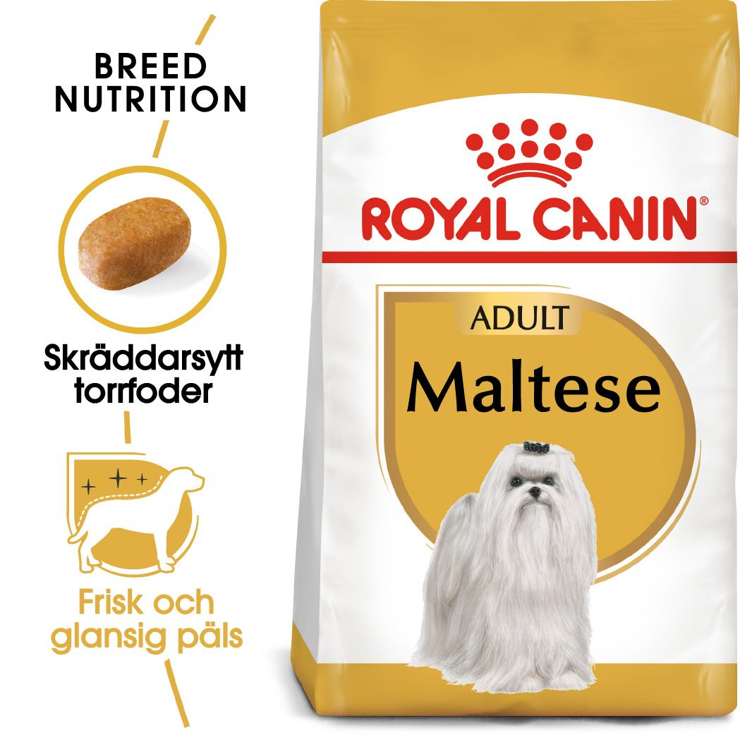 Royal Canin Maltese Adult