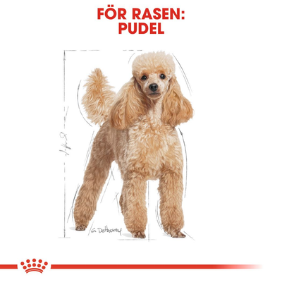 Royal Canin Poodle Adult