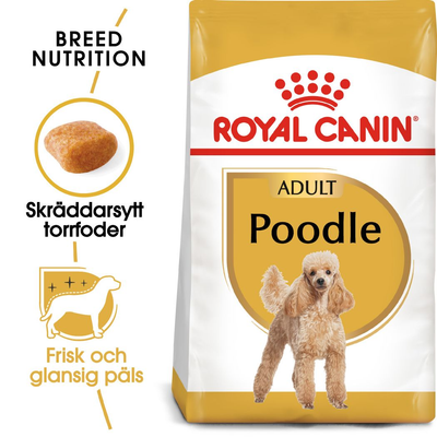 Royal Canin Poodle Adult