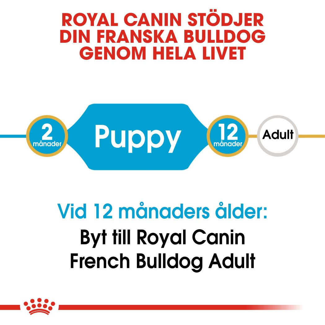 Royal Canin French Bulldog Puppy