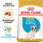 Royal Canin French Bulldog Puppy