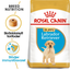 Royal Canin Labrador Retriever Puppy torrfoder