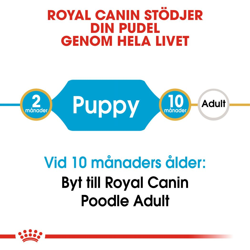 Royal Canin Poodle Puppy