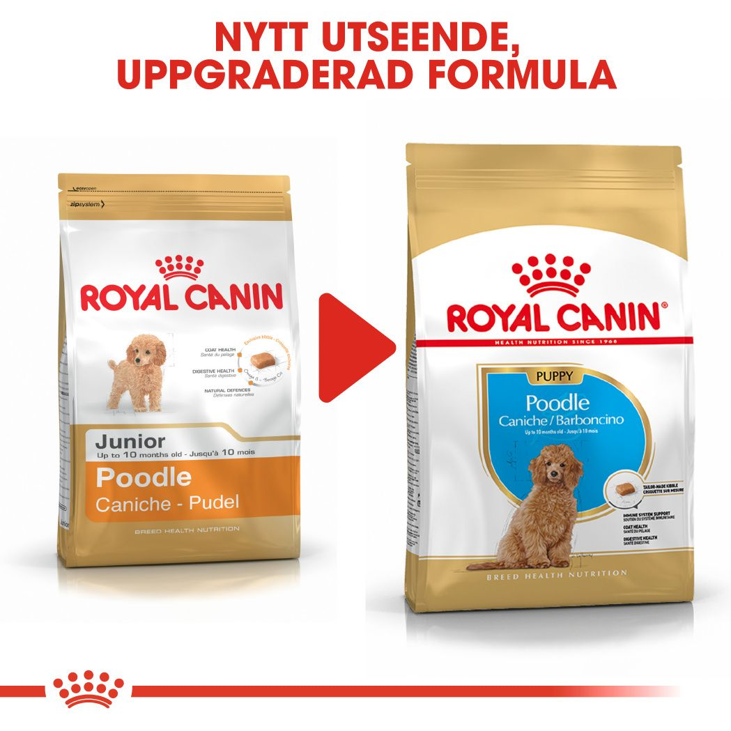 Royal Canin Poodle Puppy