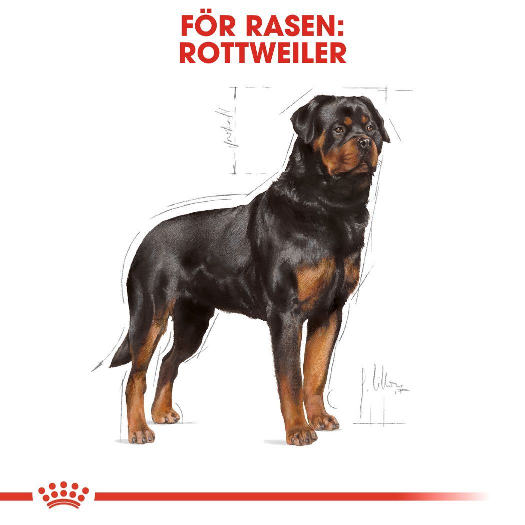 Royal Canin Rottweiler Adult