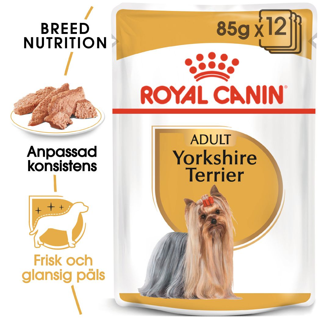 Royal Canin Yorkshire Terrier Adult Loaf