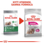 Royal Canin Exigent Mini