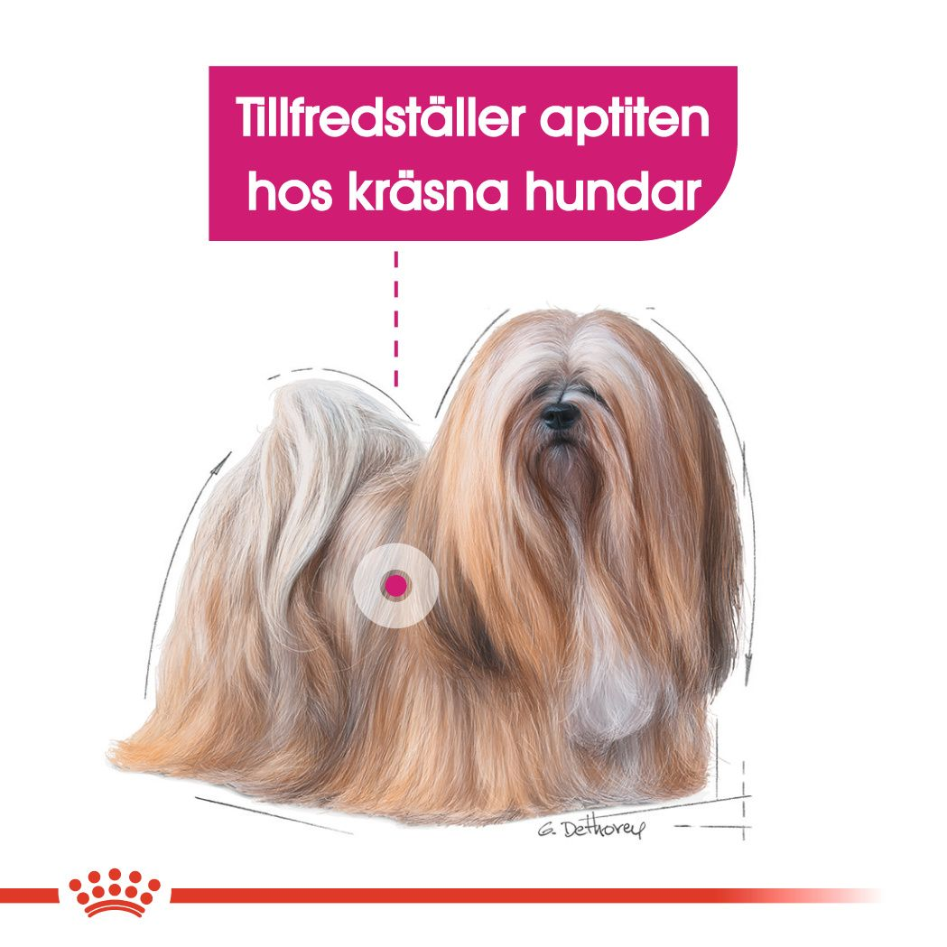 Royal Canin Exigent Mini