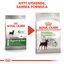 Royal Canin Digestive Care Mini