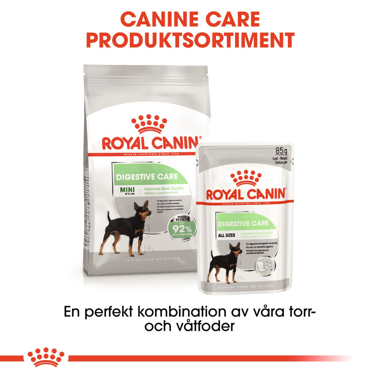 Royal Canin Digestive Care Mini