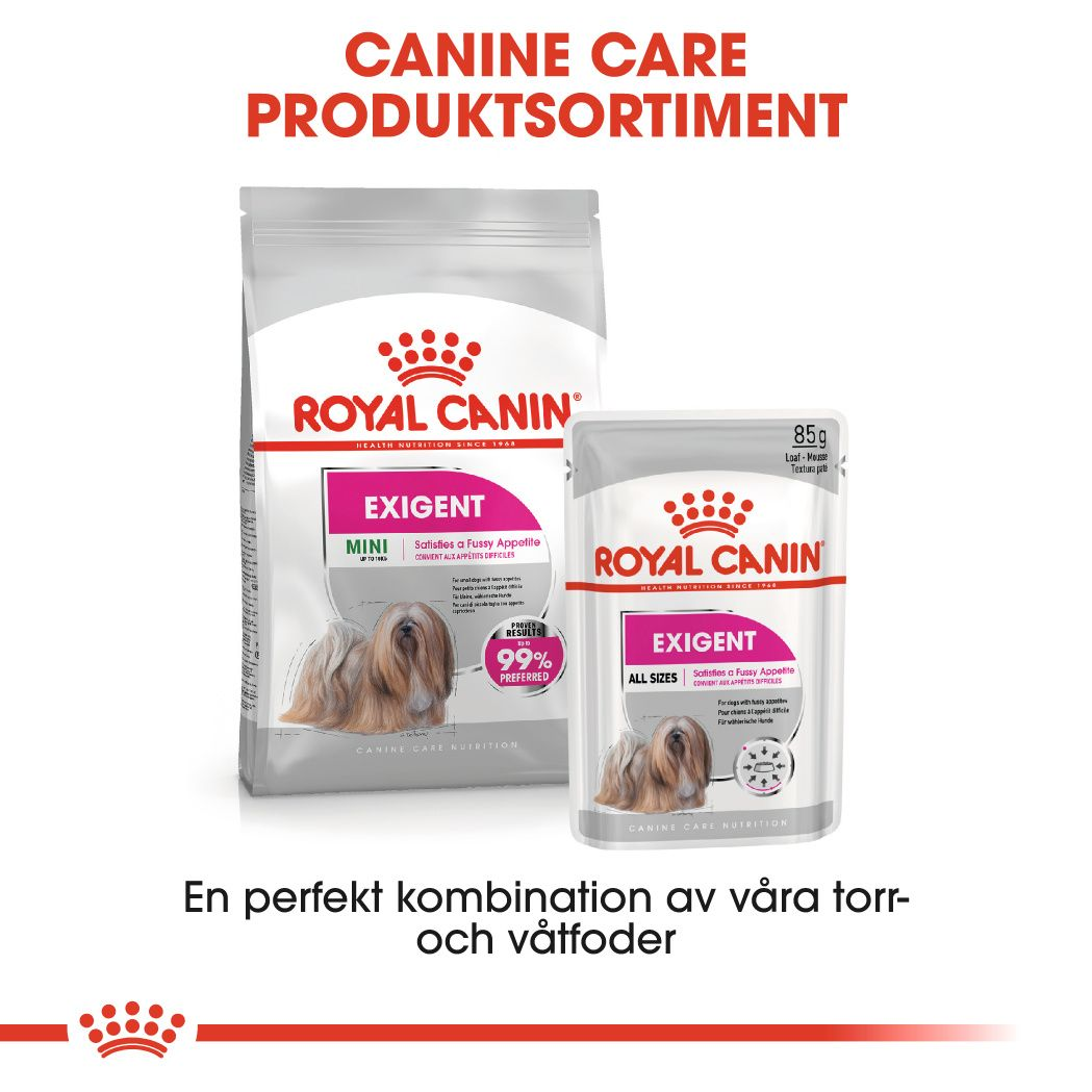 Royal Canin Exigent paté