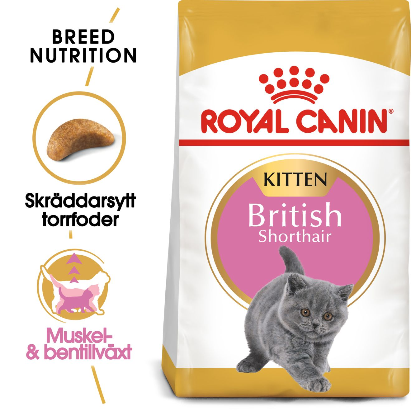 Royal Canin British Shorthair Kitten