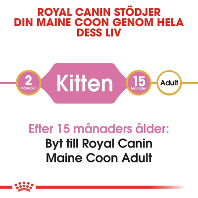 Royal Canin Maine Coon Kitten