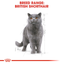 Royal Canin British Shorthair Gravy