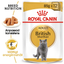 Royal Canin British Shorthair Gravy