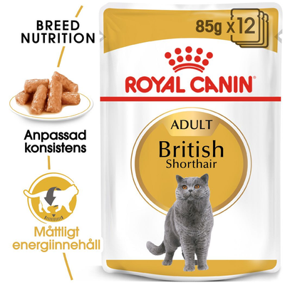 Royal Canin British Shorthair Gravy