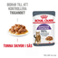 Royal Canin Appetite Control Gravy